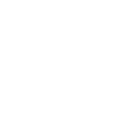 Premier Metal Logo